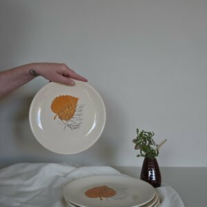Ensemble de 5 assiettes plates en porcelaine Niderviller – Image 12