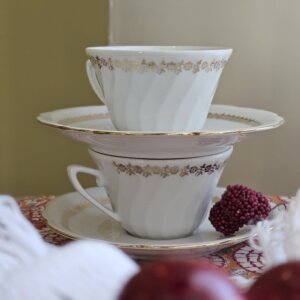 Ensemble de 6 tasses avec soucoupes en porcelaine Seltmann Weiden Bavaria "Lux"