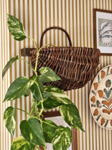 Panier mural en rotin tressé "Tova"