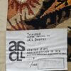 Tapisserie d’art “La Trinidad” – Jean-Claude Duprez (93/250) – Image 3