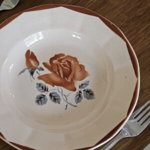 Lot de 6 assiettes creuses Digoin & Sarreguemines – Modèle 9181